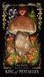 Midnight Magic A Tarot Deck of Mushrooms