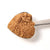 Maple Sugar Dust 4oz