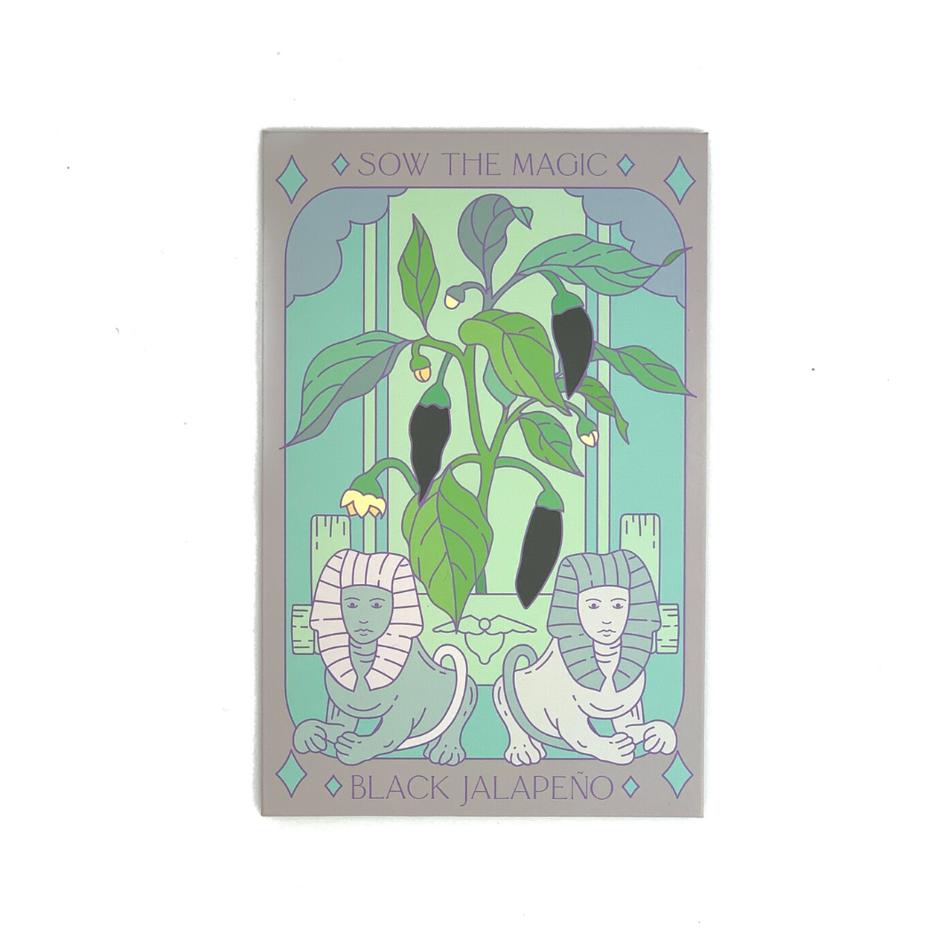 Black Hungarian Jalapeño Tarot Garden + Gift Seed Packet