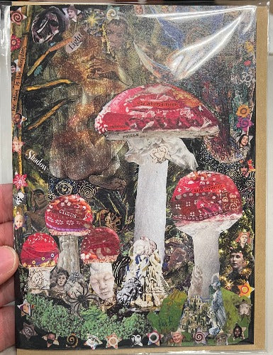 Florrie F Greeting Cards Amanita Muscaria