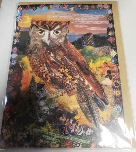 Florrie F Greeting Cards Screech Owl