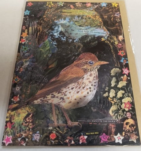 Florrie F Greeting Cards Wood Thrush