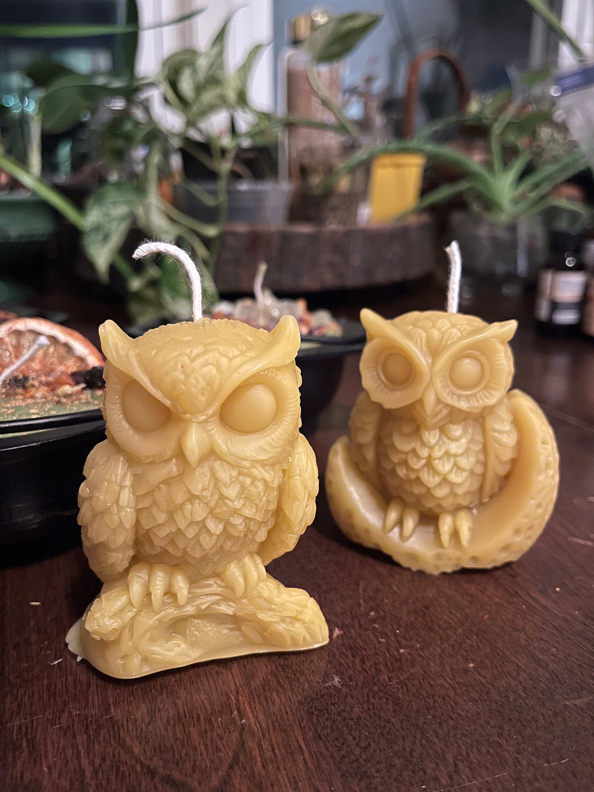 Beeswax Owl Candle