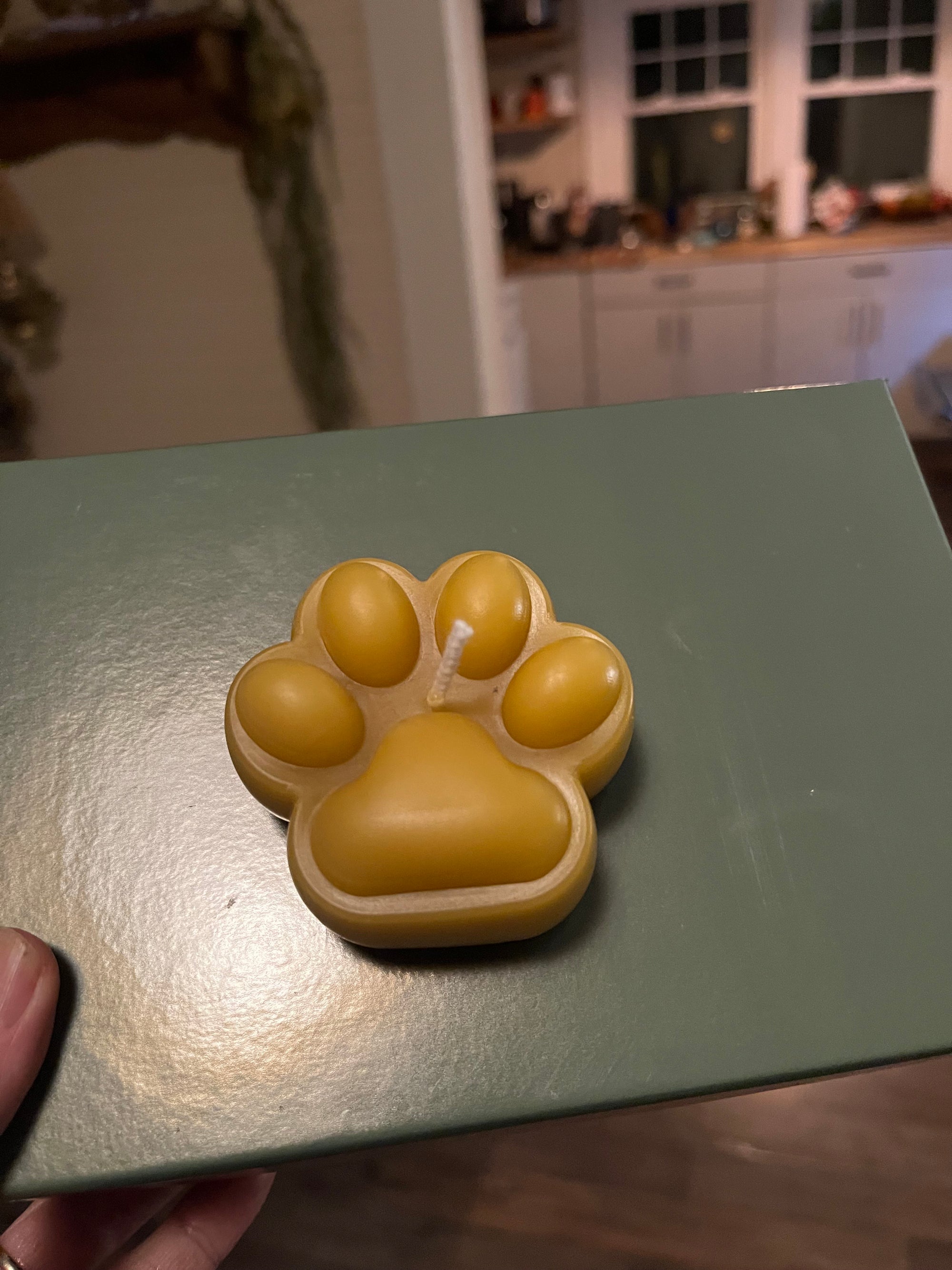 Beeswax Paw Large