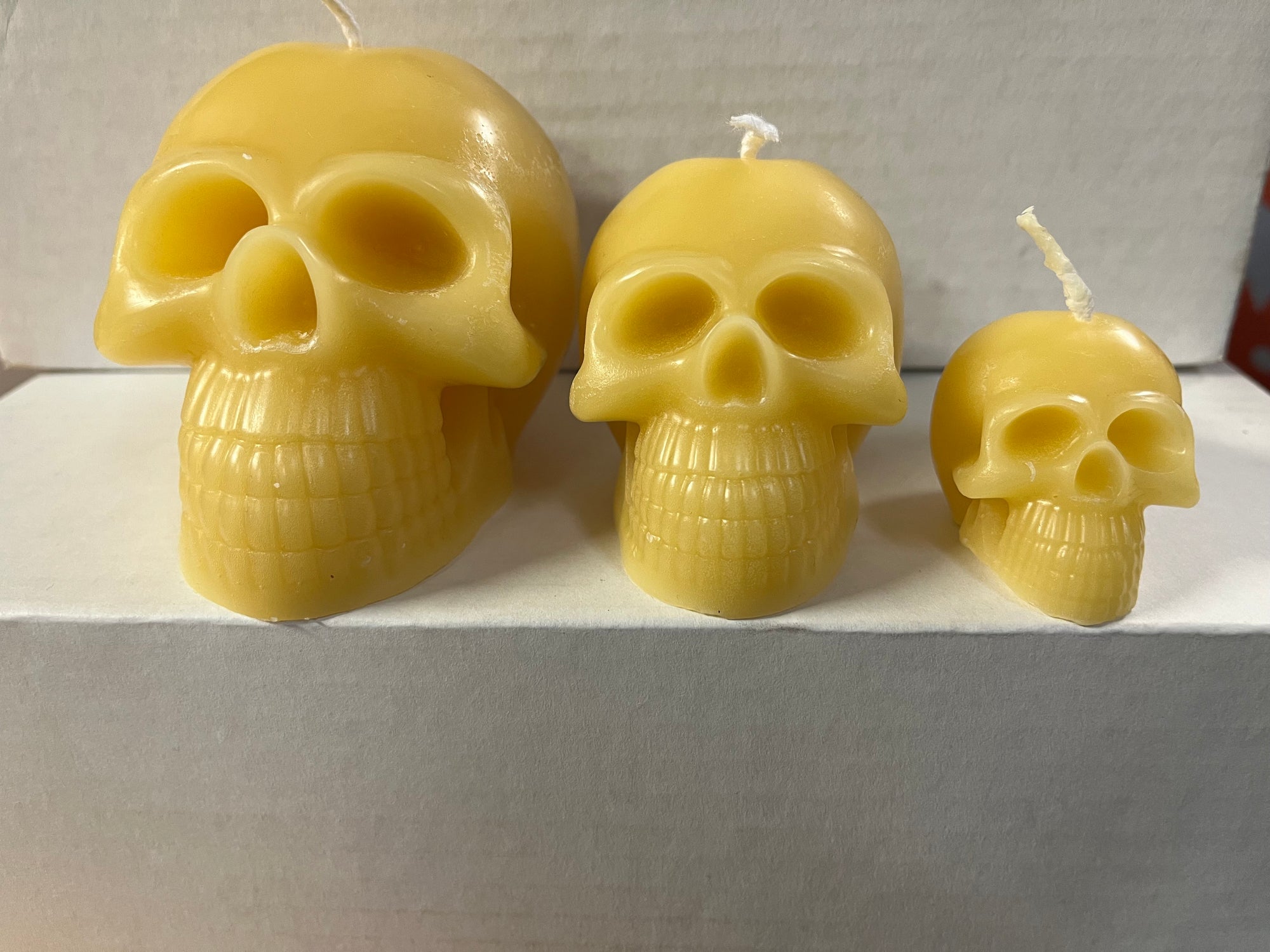 Beeswax Skull Large