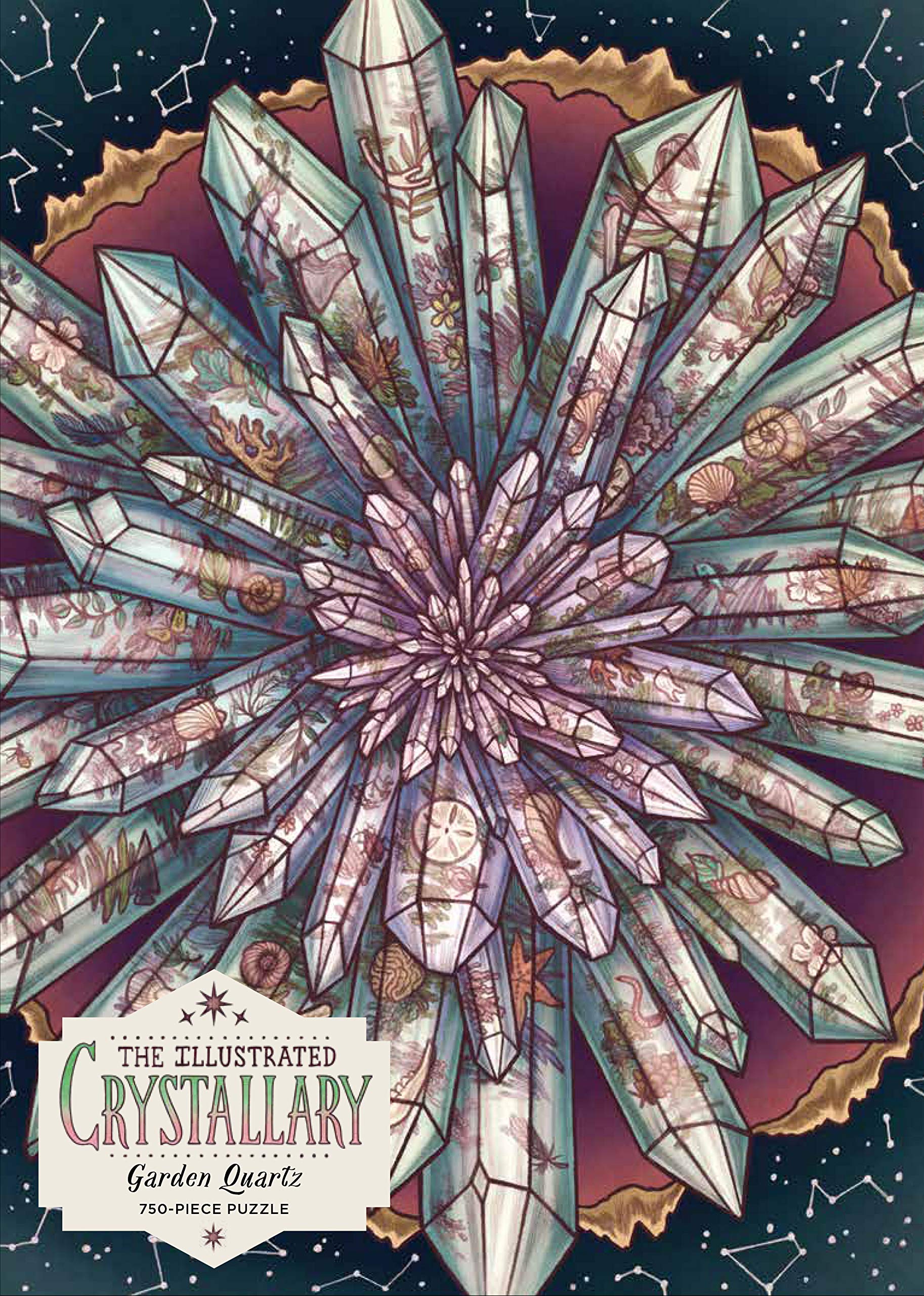 Illustrated Crystallary Puzzle: Garden Quartz by Maia Toll