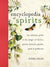 Encyclopedia of Spirits The Ultimate Guide to the Magic of Fairies, Genies, Demons, Ghosts, Gods & Goddesses By Judika Illes